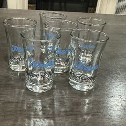 Bridesmaids Shot Glasses🥳