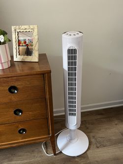 Honeywell Oscillating Standing Fan 