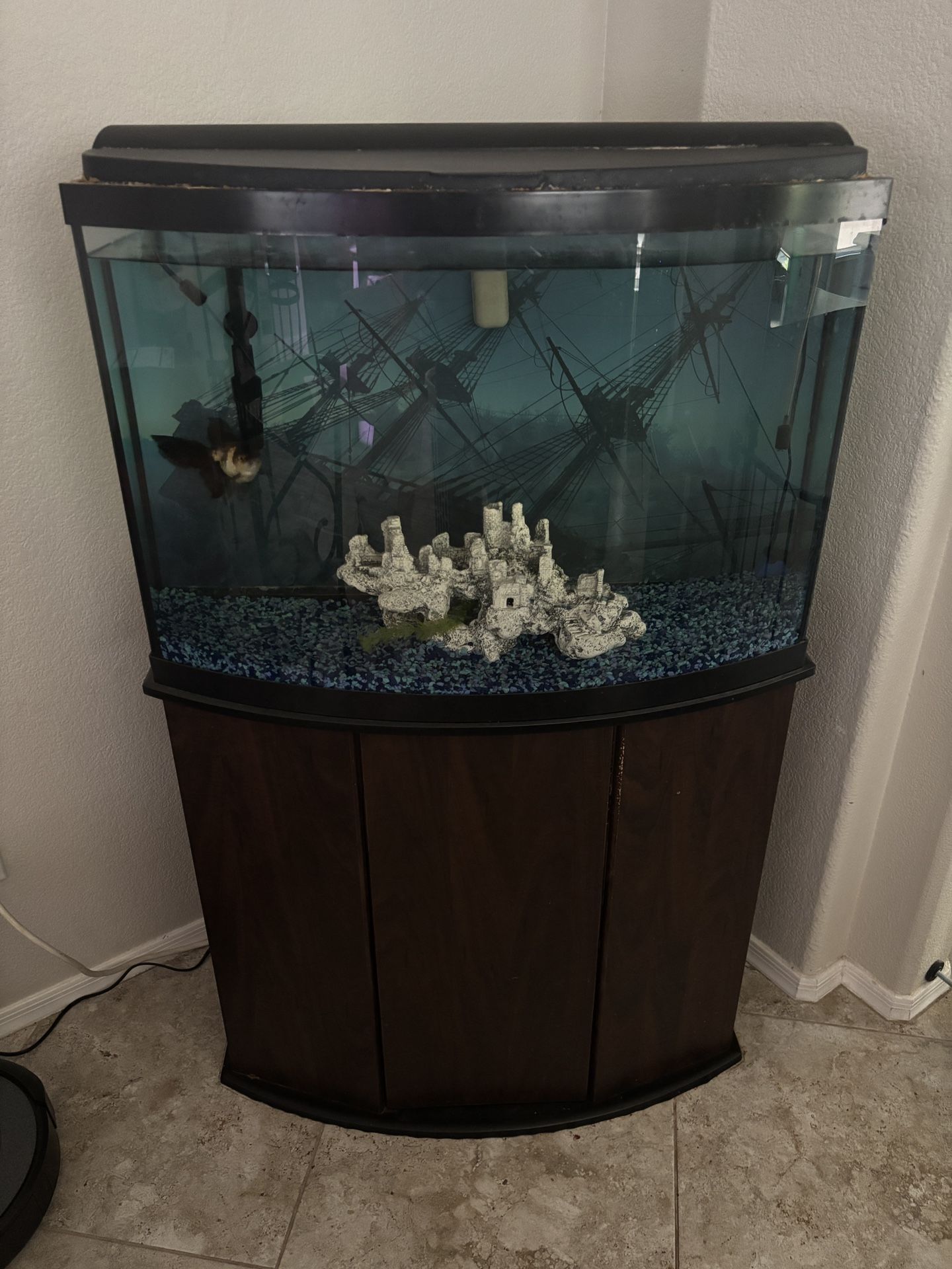 Bow Front Aquarium