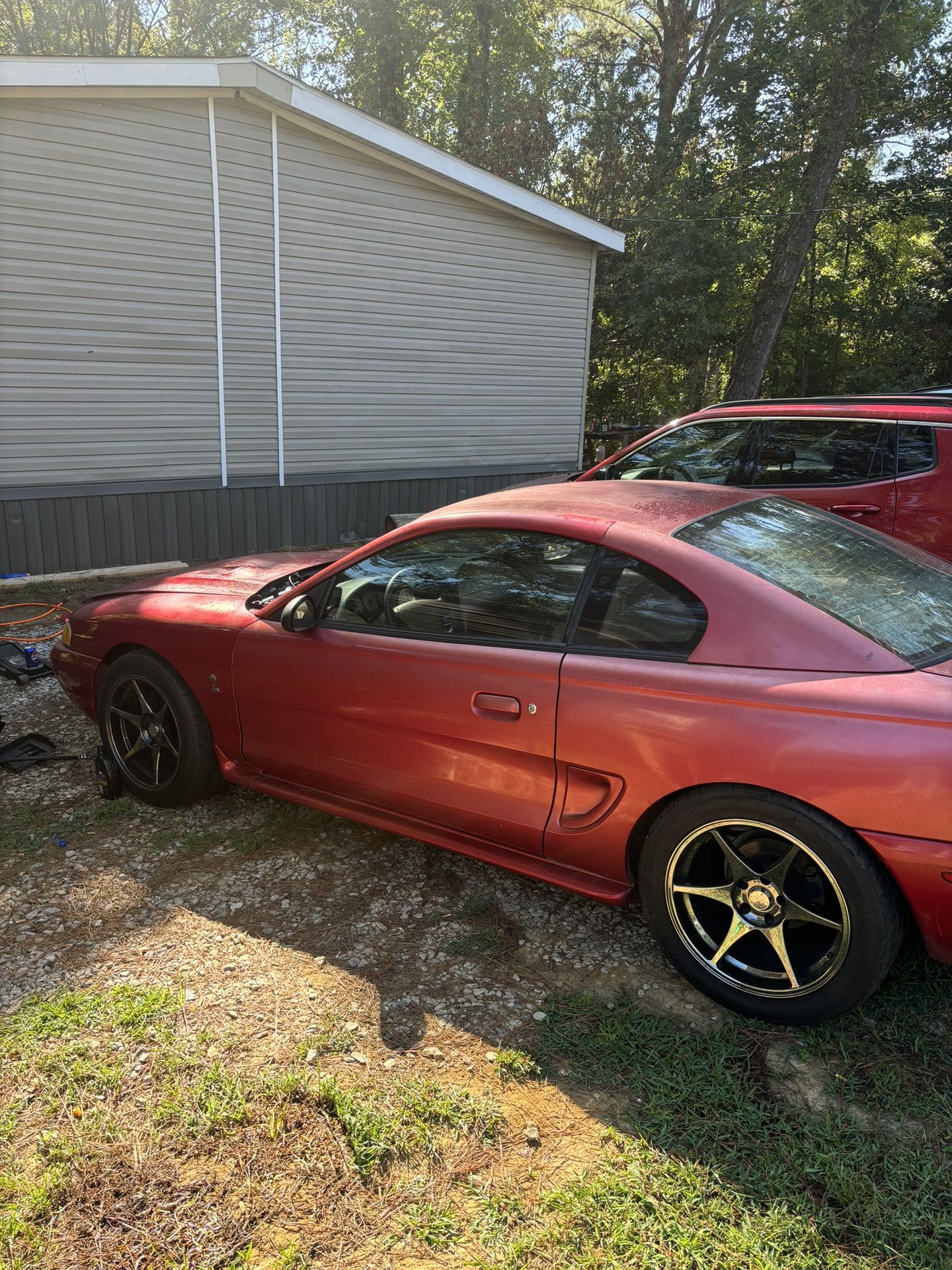 1998 Cobra Project