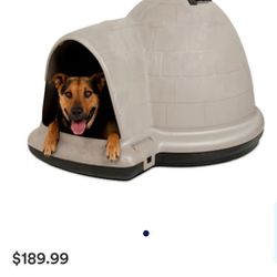 Dog House/Bed