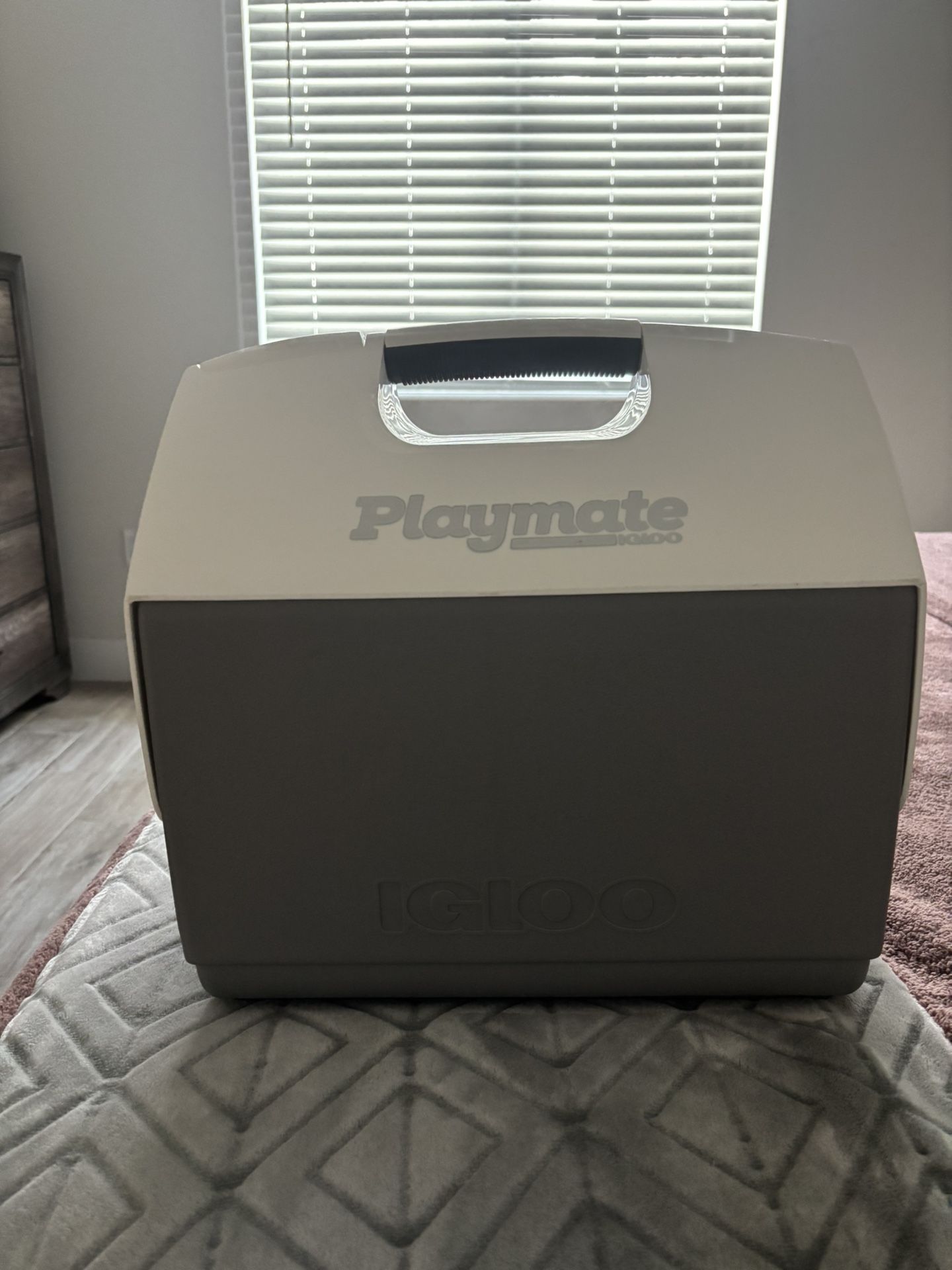 Playmate Igloo Cooler