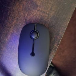 Computer Mouse