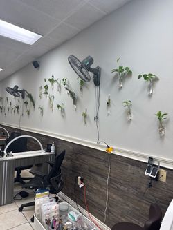 Nail shop for sale
