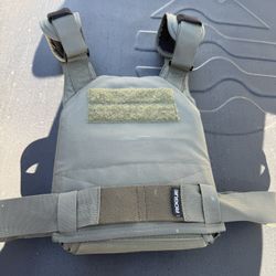 Rogue Plate Carrier + 20lbs Echo Plates