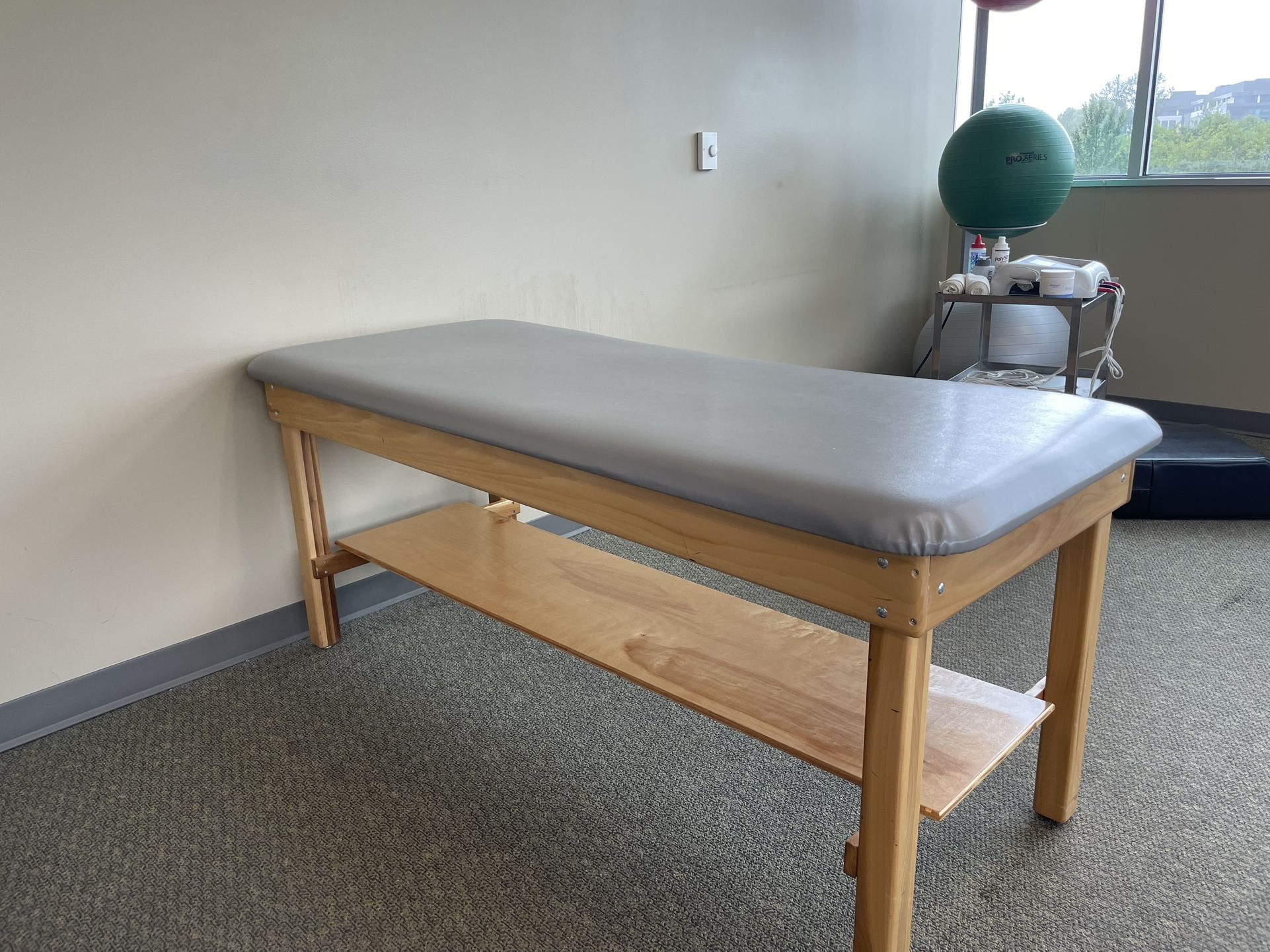 Dynatronics Treatment Table / Plinth
