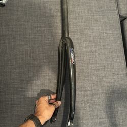 Carbon Bicycle Form