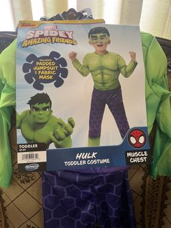Hulk costume