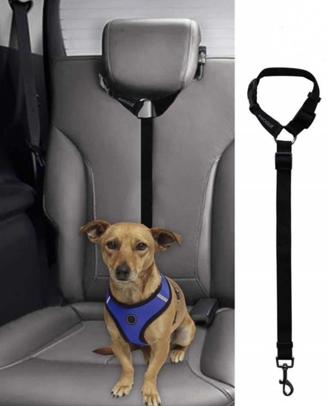 Dog Car Seat Belt
