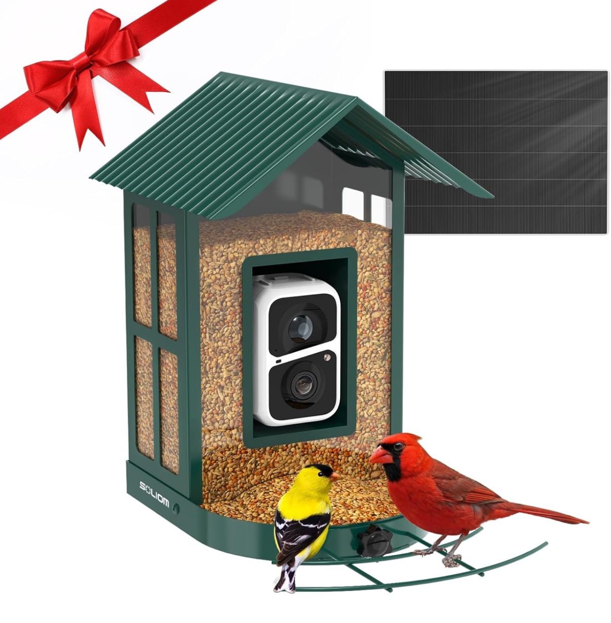 Soliom Bird Feeder with Camera Wireless Outdoor with AI Identify Bird Species, Smart Wild Bird Watching Cam, Live View, Motion Triggered Notification,