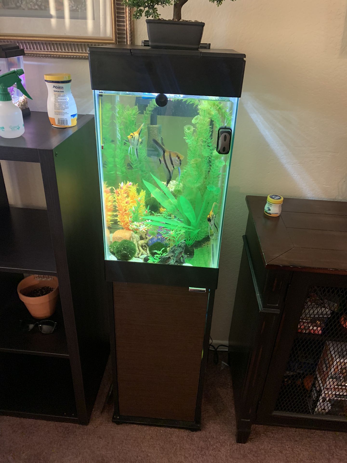 15 gallon fish tank with filter+ stand