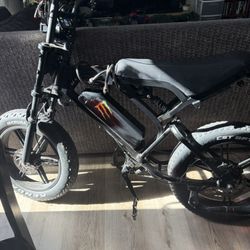 V20 Tamobyke Electric Bike