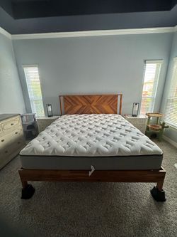 Pro-hybrid Bear Mattress
