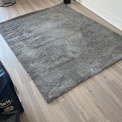 Gray Rug