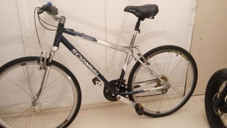 Schwinn trailway