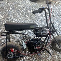 Doodle Bug Mini Bike