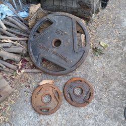 45lb and 5lb Olympic weight plates