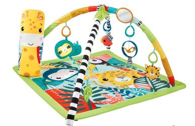 Fisher Price Play Mat