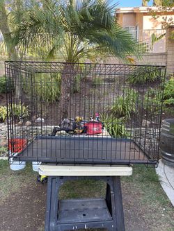 Extra Large Black Wire Dog Crate