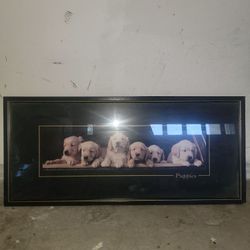 Golden Retriever Puppies Framed Picture 29x18