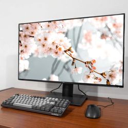 Dell UltraSharp U3219Q 32" 4K UHD IPS LED Monitor