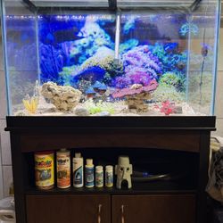 fish tank bundle