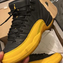 Air Jordan 12 Retro 