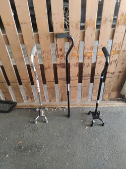 3-CANES BUY 1 OR ALL 3