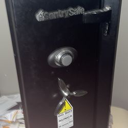 Sentry Safe