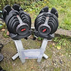 Bowflex Dumbells With Stand 