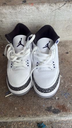 Jordan 3s (Purple) Gs
