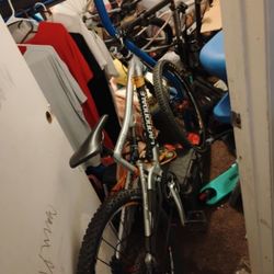 Cannondale