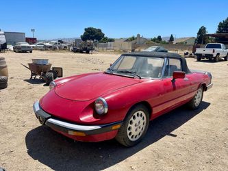 1988 Alfa Romeo Spider Veloce