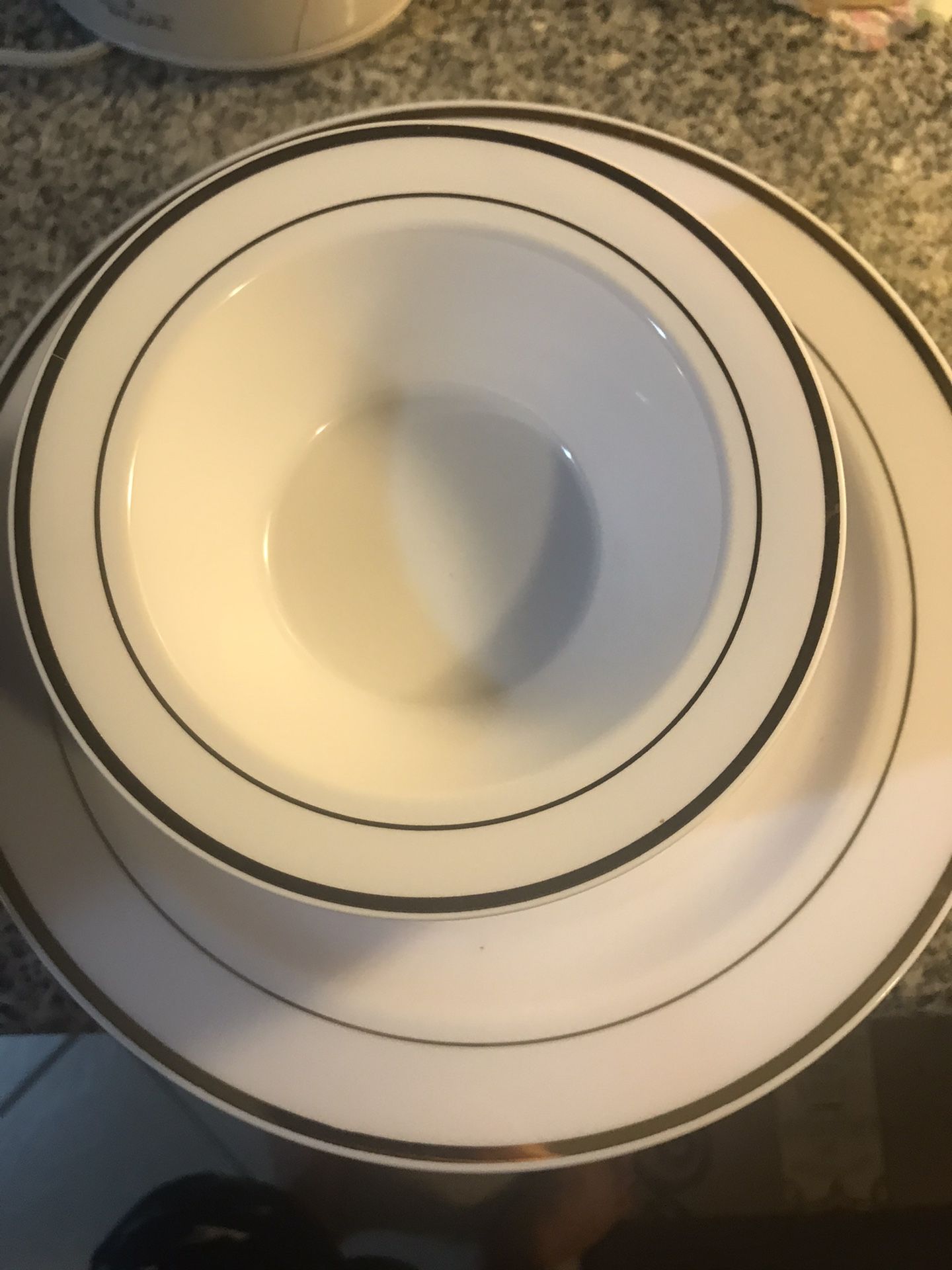 Heavy duty plastic dinner plate 100 pcs with bowl