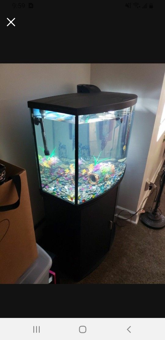 Fish Tank And Stand 