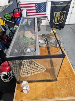 Lizard tank