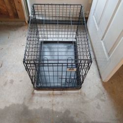 Dog Kennel