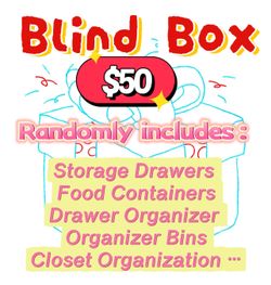 Storage and food containers surprise blind box