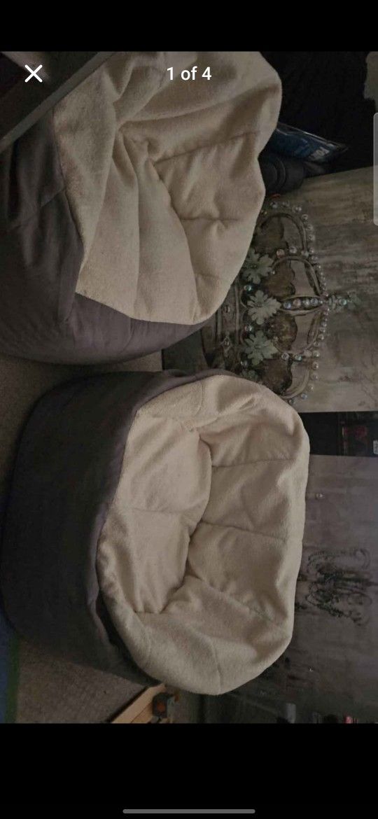 Big Joe's Bean Bags 40$ For Both