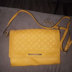 Steve Madden Purse