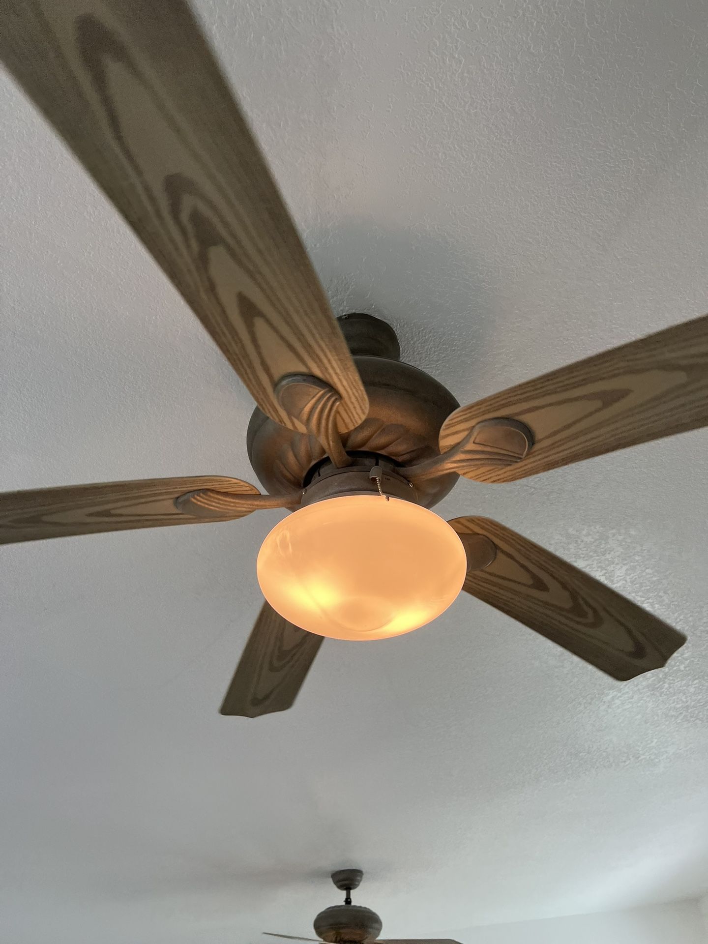 Ceiling Fans