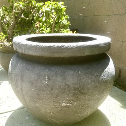 Plant Pots 