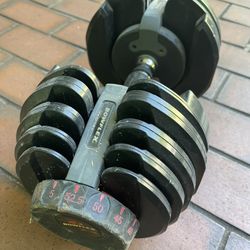 Bow flex Adjustable (Only 1)