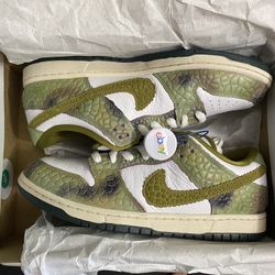 Nike Dunk SB Chameleon Size 11 Vnds 
