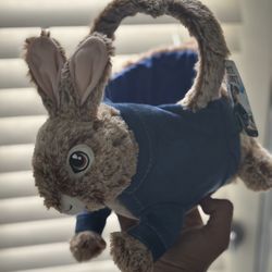 Peter Rabbit Easter Basket 