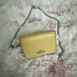 COACH MINI PURSE, BRAND NEW WITH TAGS