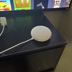 Mini google home