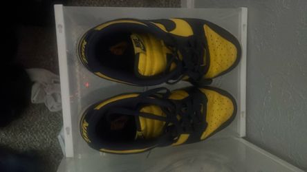 nike dunks lows michigan 2021 size 8 men