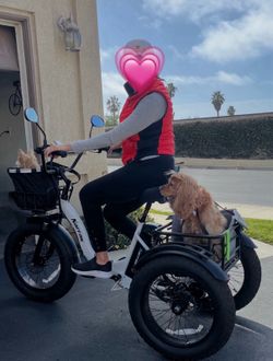 Narrak electric trike