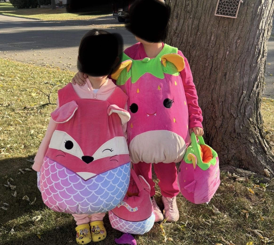 Squishmallow Girls Costume Fifi And Neon Strawberry